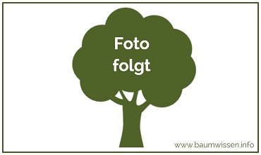 Platzhalter Foto folgt 370