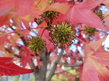 Platzhalter Foto folgt 370