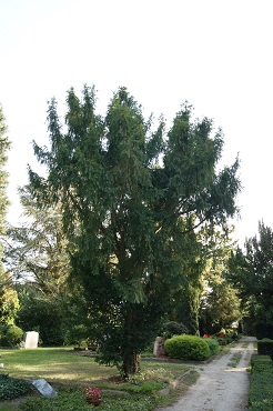 DSC04352 370