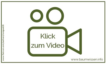 Platzhalter Video zu YouTube 370