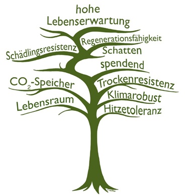 2026 03 Grabanlage Baumerbe Quelle Schöttker mod 370